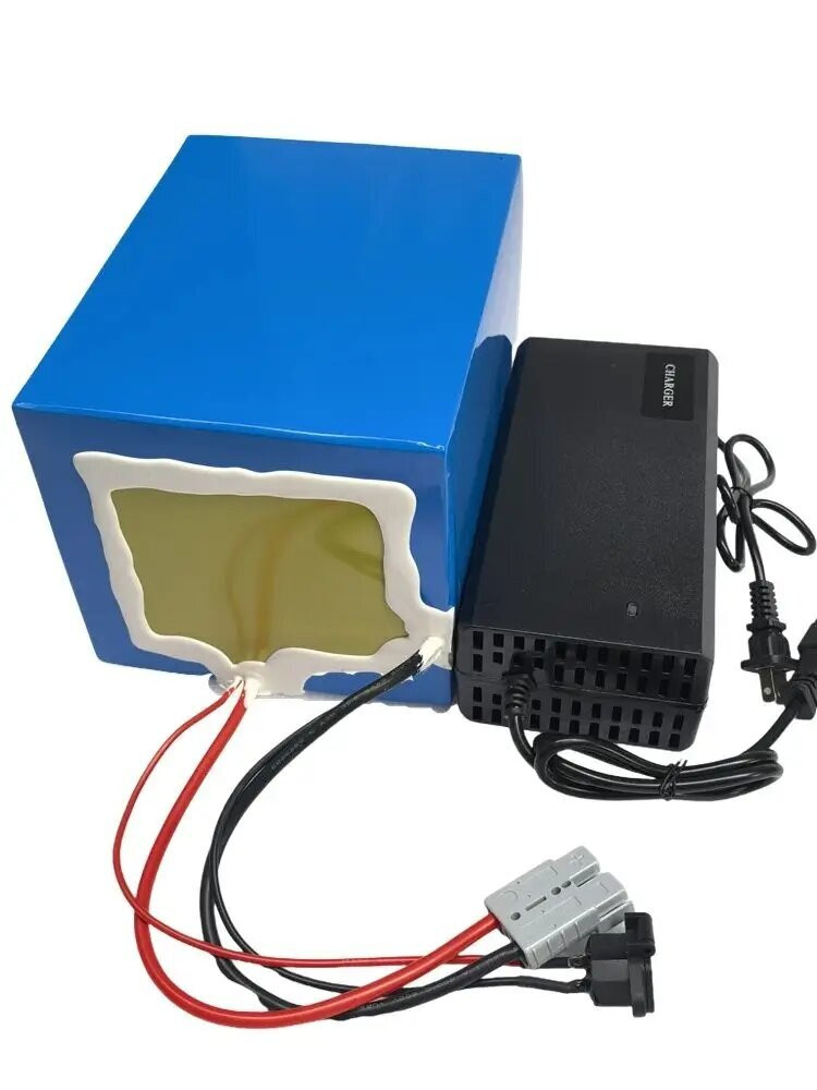 72V 고용량 리튬 이온 배터리(BMS 40Ah-100 - 72V 30Ah Lifepo4 Battery Pack 리뷰 및 가격