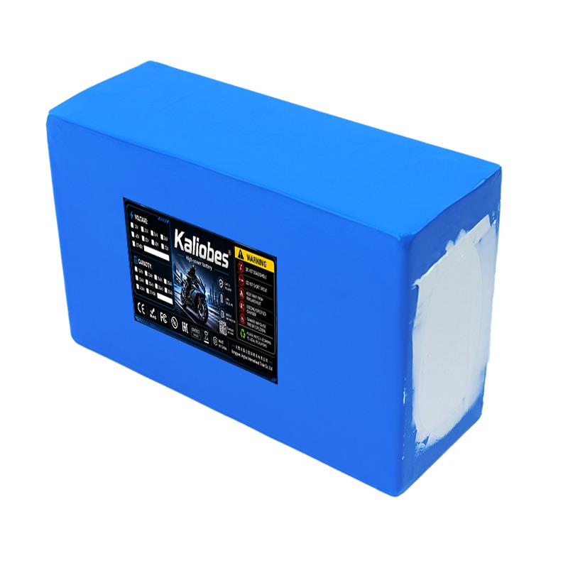 21700 리튬 배터리 팩 60V 50Ah 45Ah 2 - 60V 30Ah 21700 Battery Pack 리뷰 및 가격