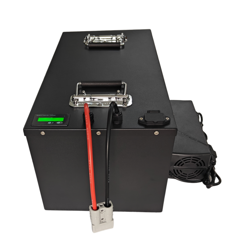 72V 30Ah 20Ah 리튬인산철 배터리 팩 BMS( - 72V 30Ah Lifepo4 Battery Pack 리뷰 및 가격